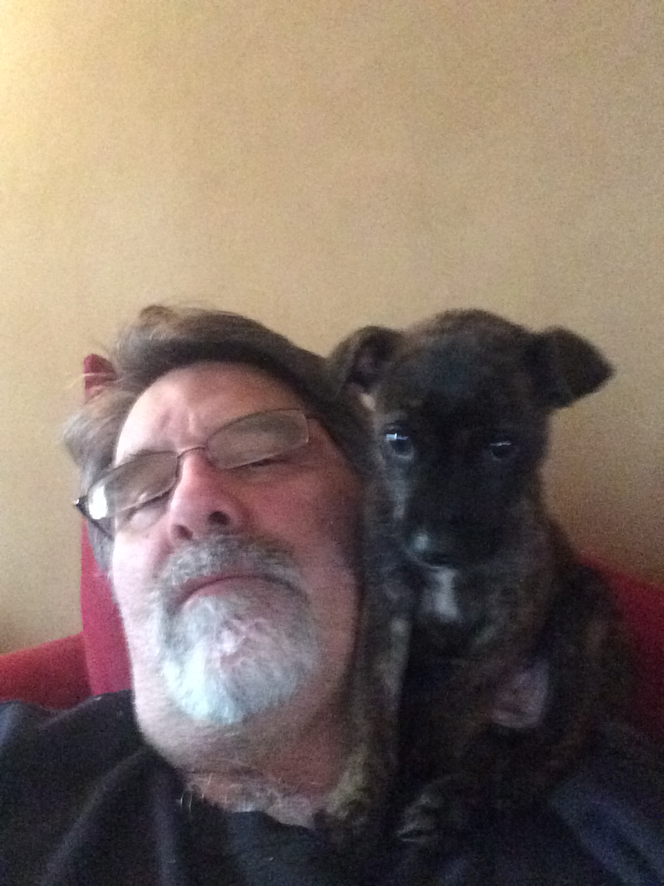 sittingonshoulder.JPG