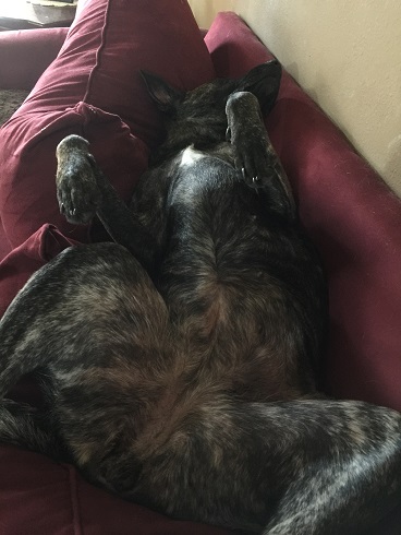 justchillin.JPG