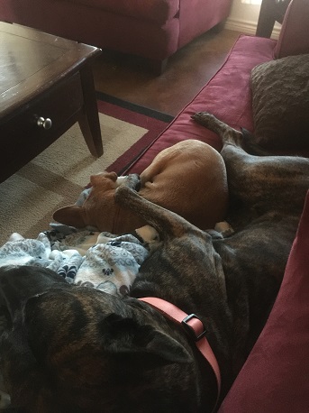 Buddies.JPG