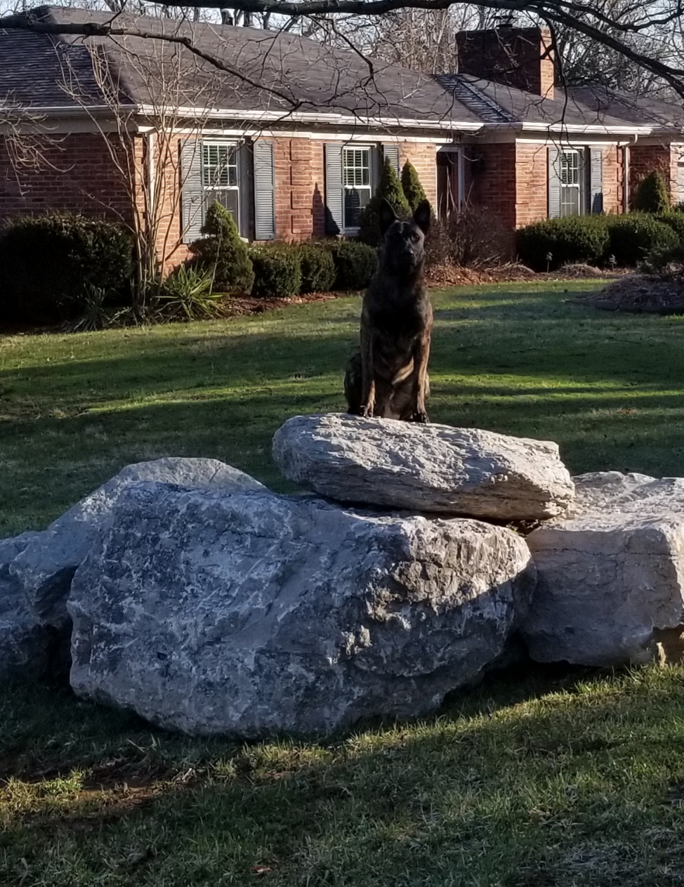 20180303_234450.jpg