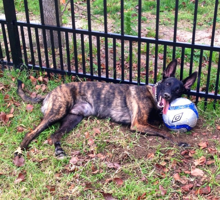 kobesoccer.JPG