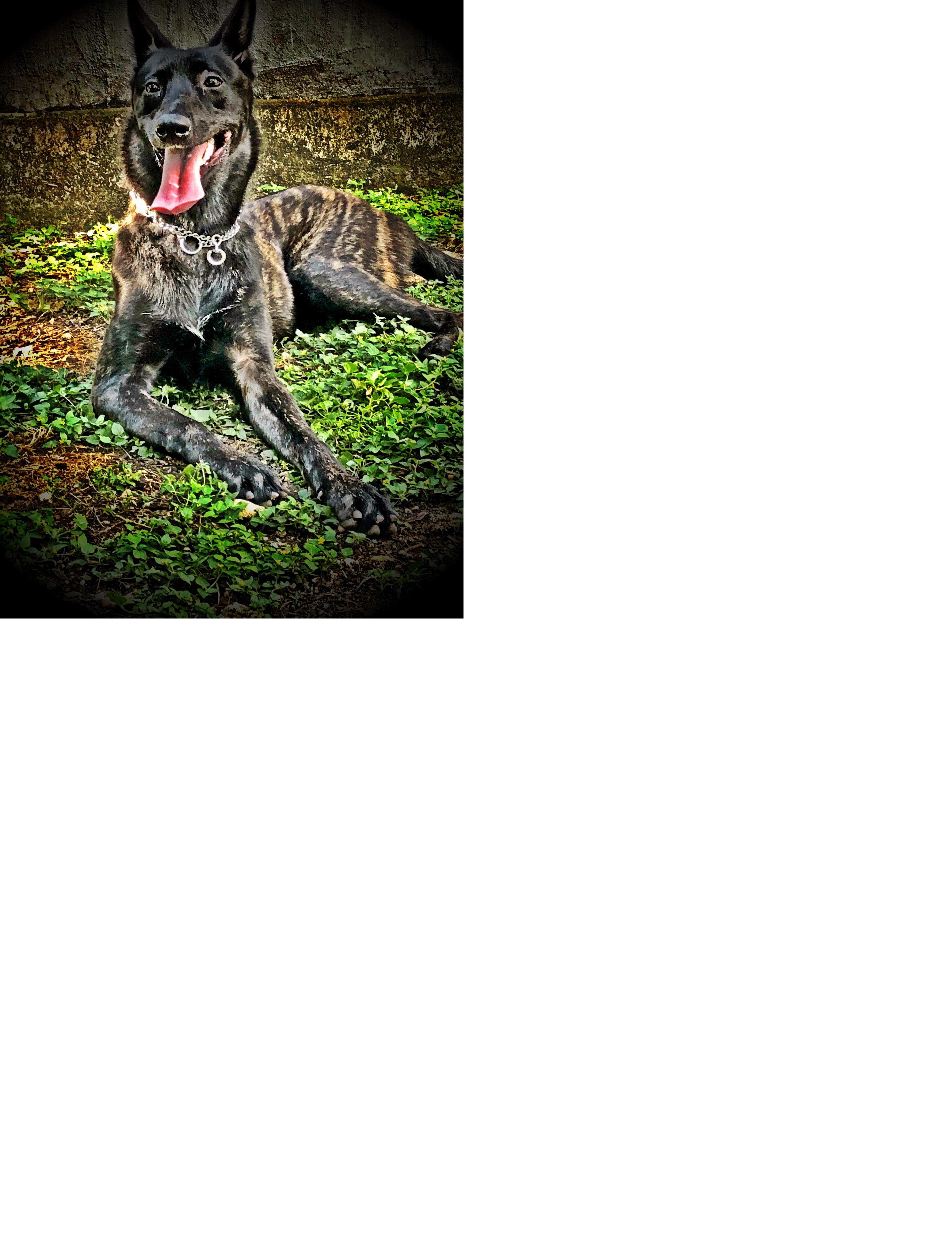 zoey2.jpg