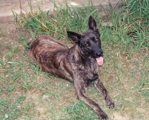 scan0012.jpg