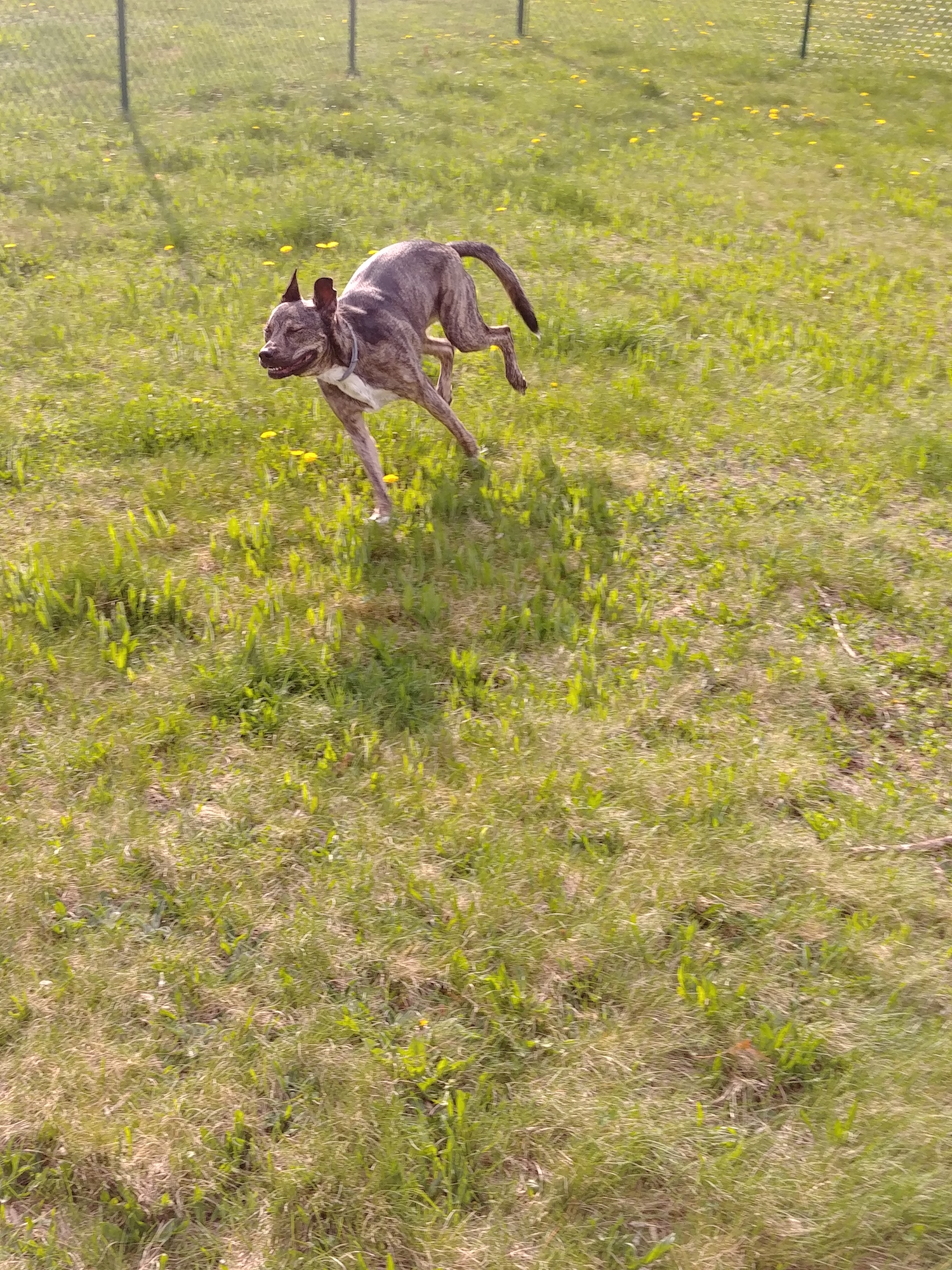 20180504_174859.jpg