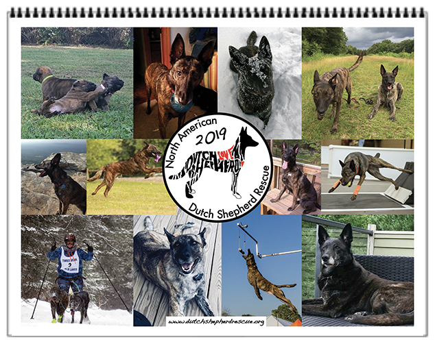 NADSR-2019Calendar-image.png