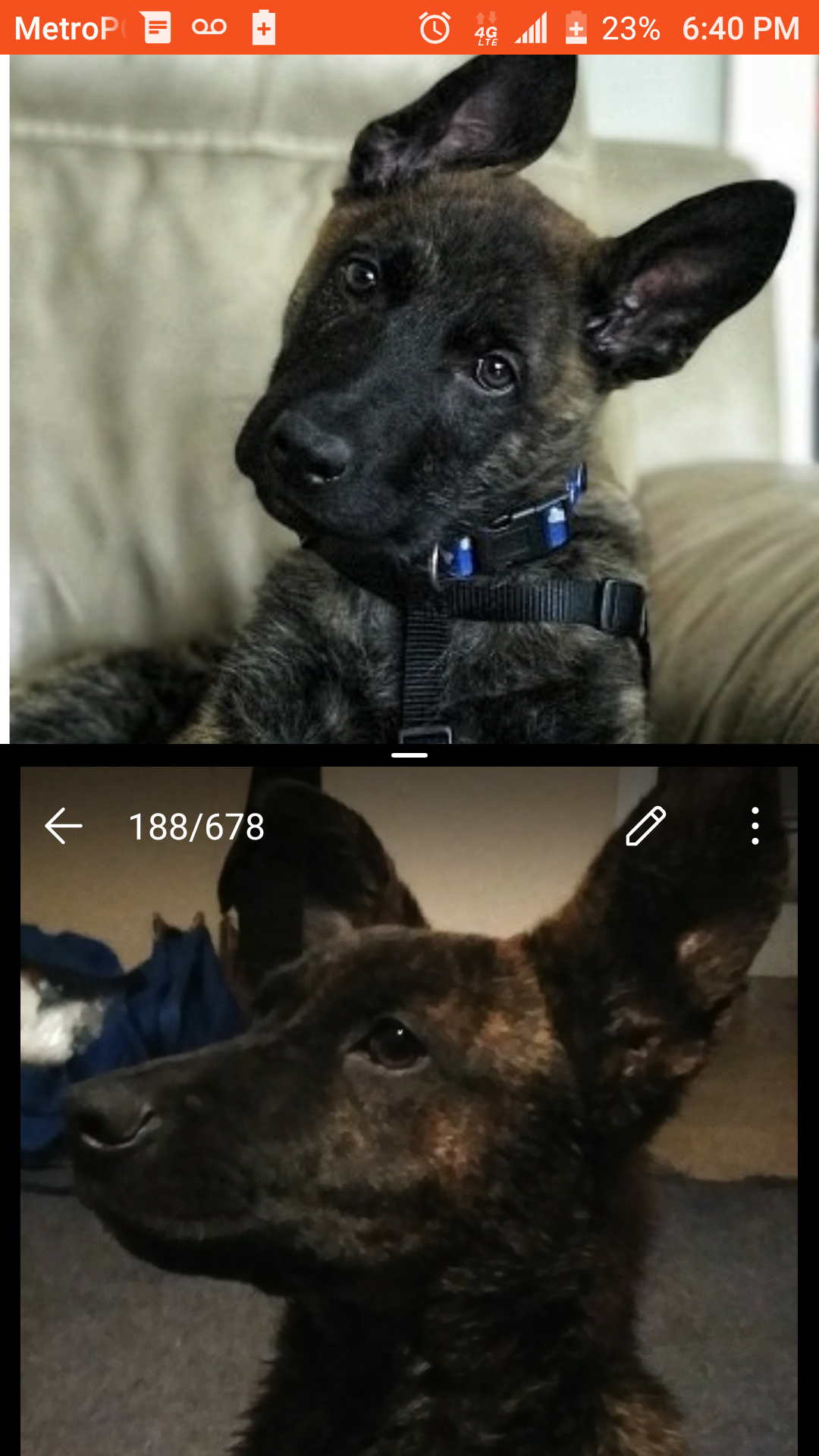 Screenshot_20181214-184034.png