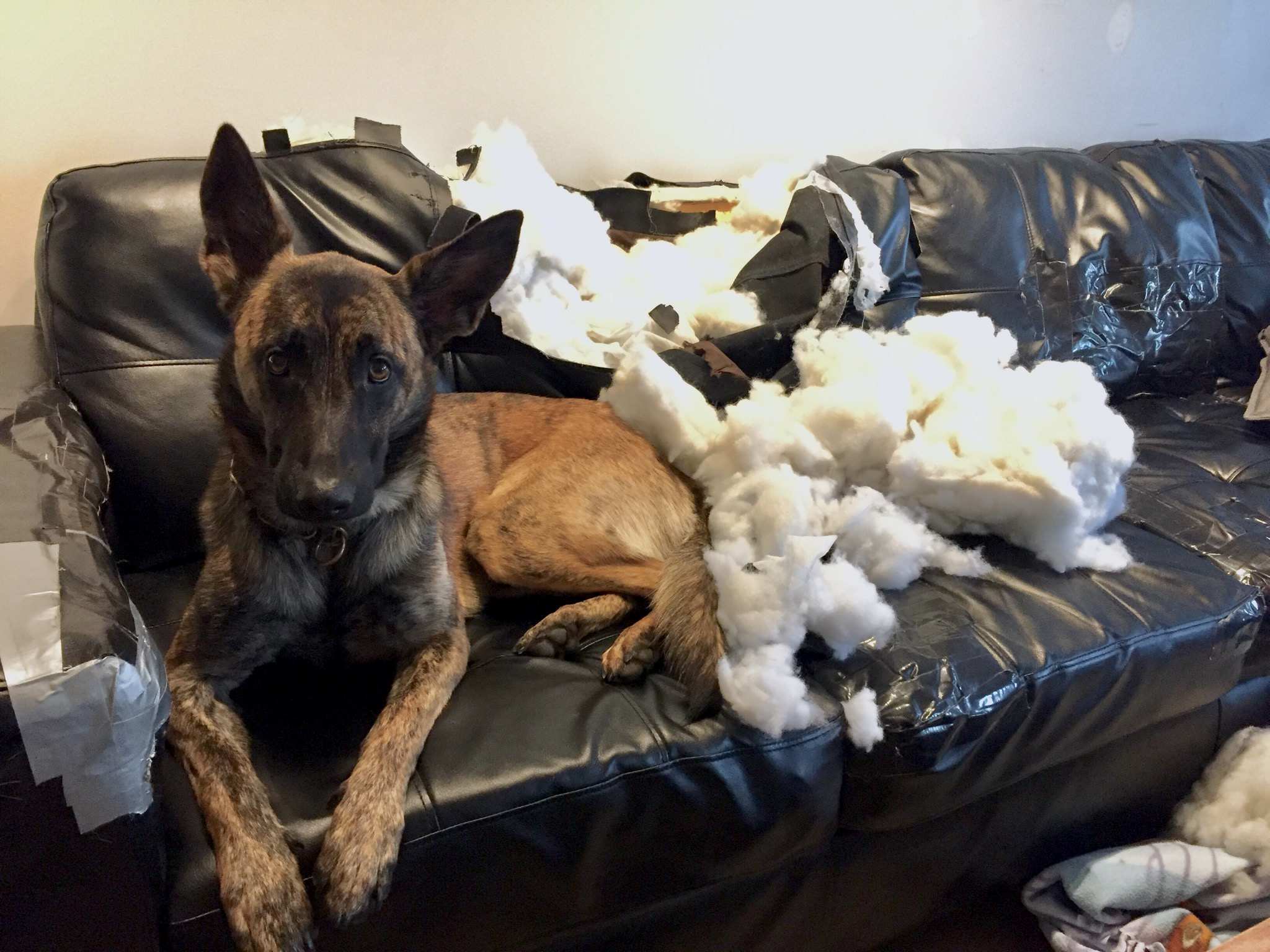 Wasnt Me...