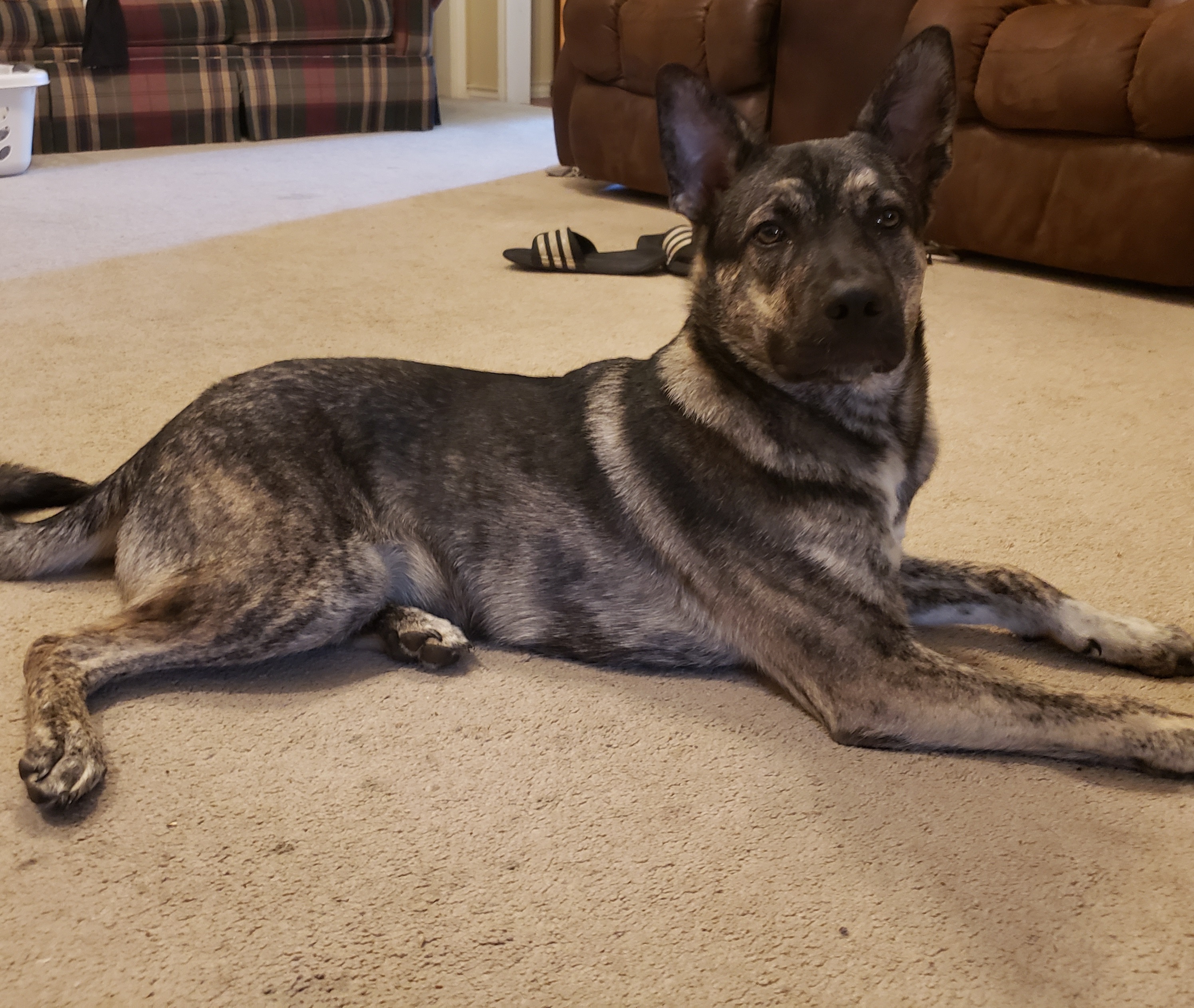 20190403_092630.jpg