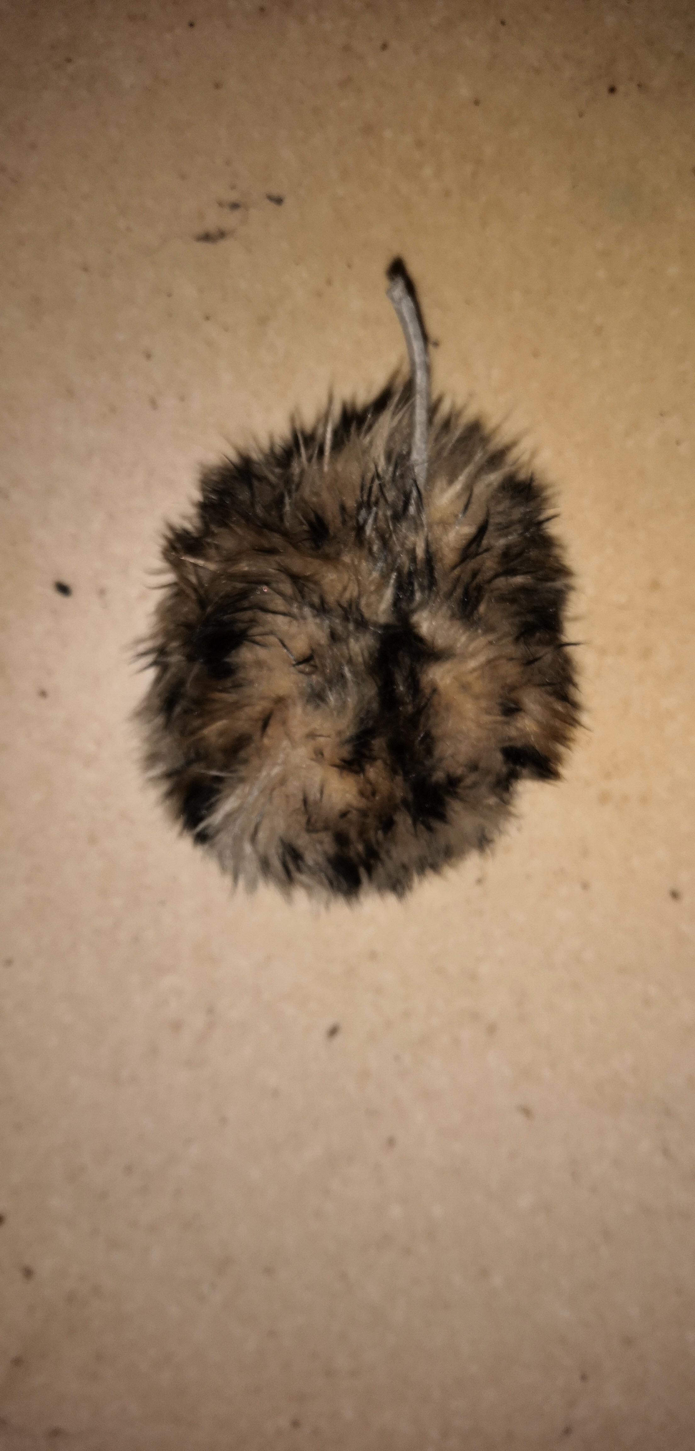 IMG-20190915-WA0000.jpeg