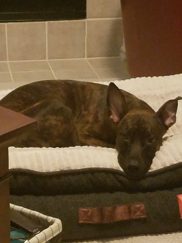 20190915_090409.jpg