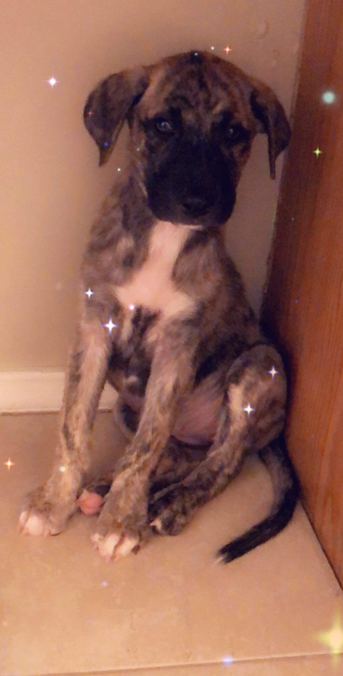 First day home