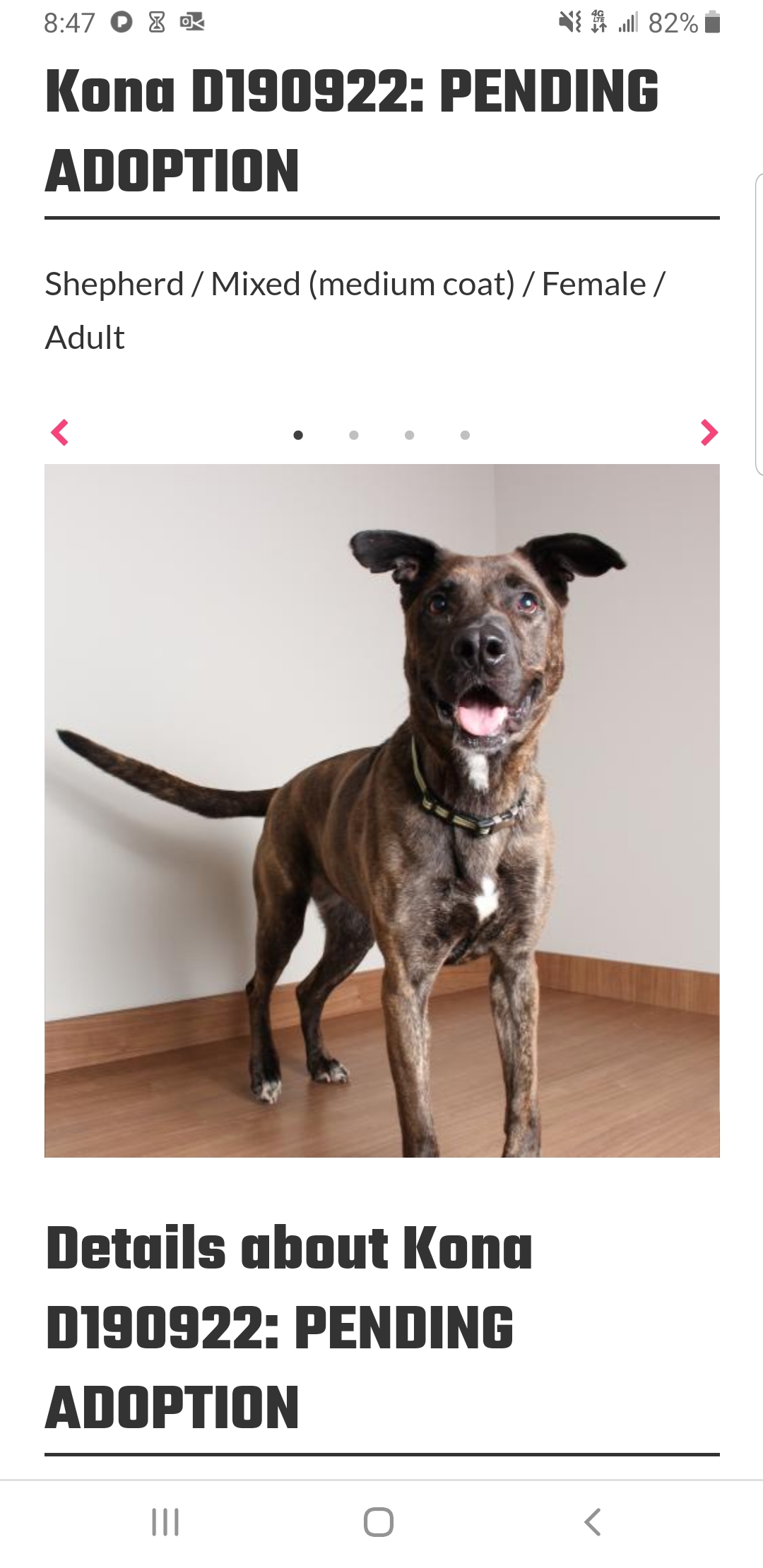 Screenshot_20190823-084722_Chrome.jpg
