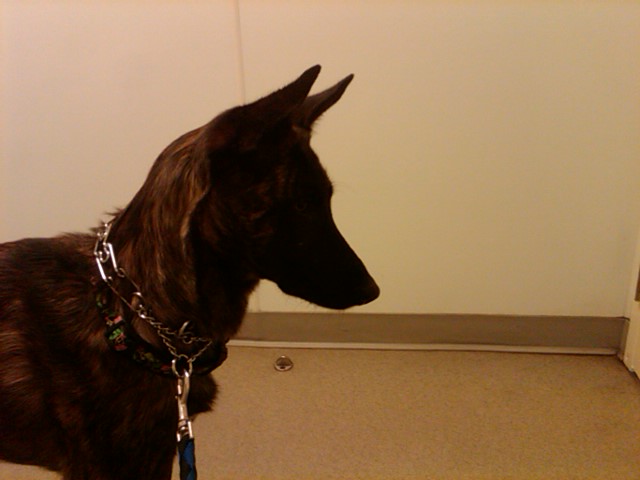 IMG00723-20120125-1048.jpg