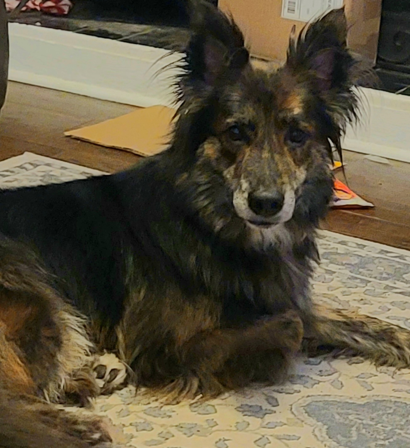 20210412_194705.jpg