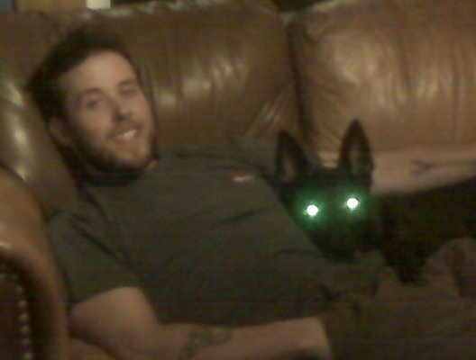 zombie dog.jpg
