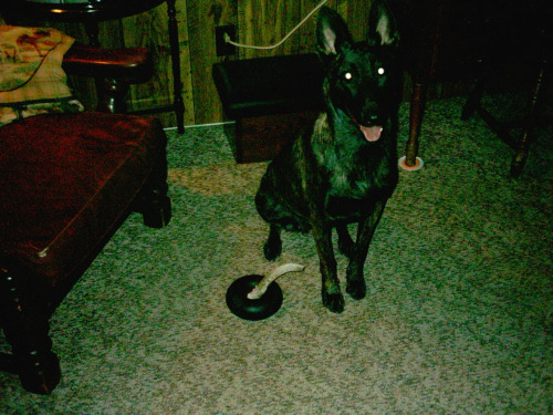IM000038.JPG
