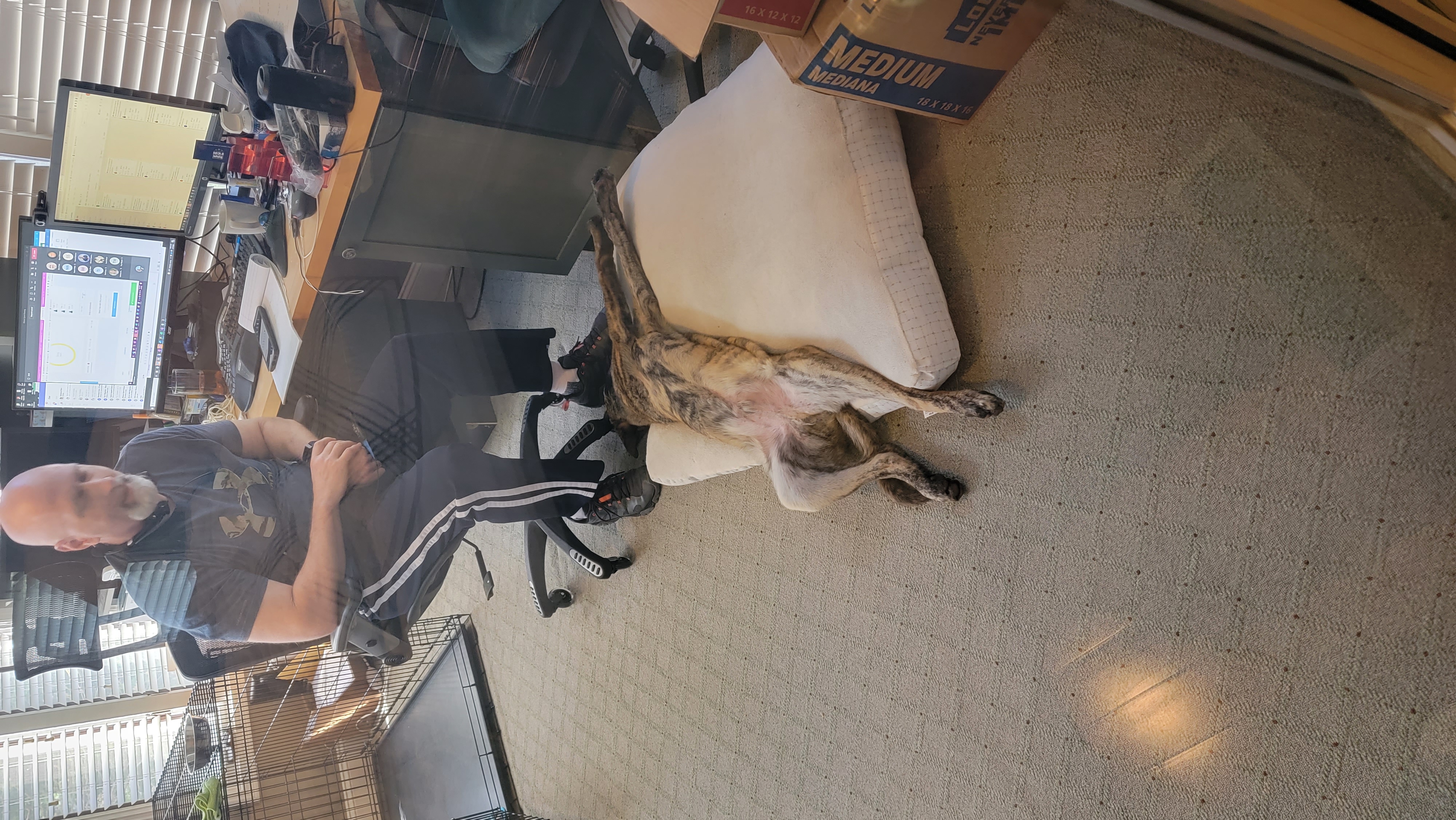 Graham stretched out being a goof