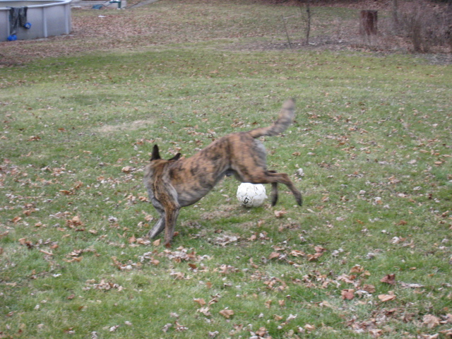 IMG_3234.JPG