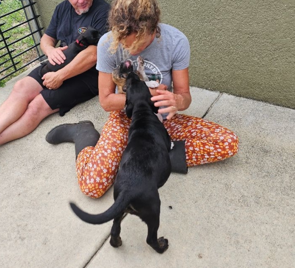 Screenshot_20231005_235321_Petfinder.jpg