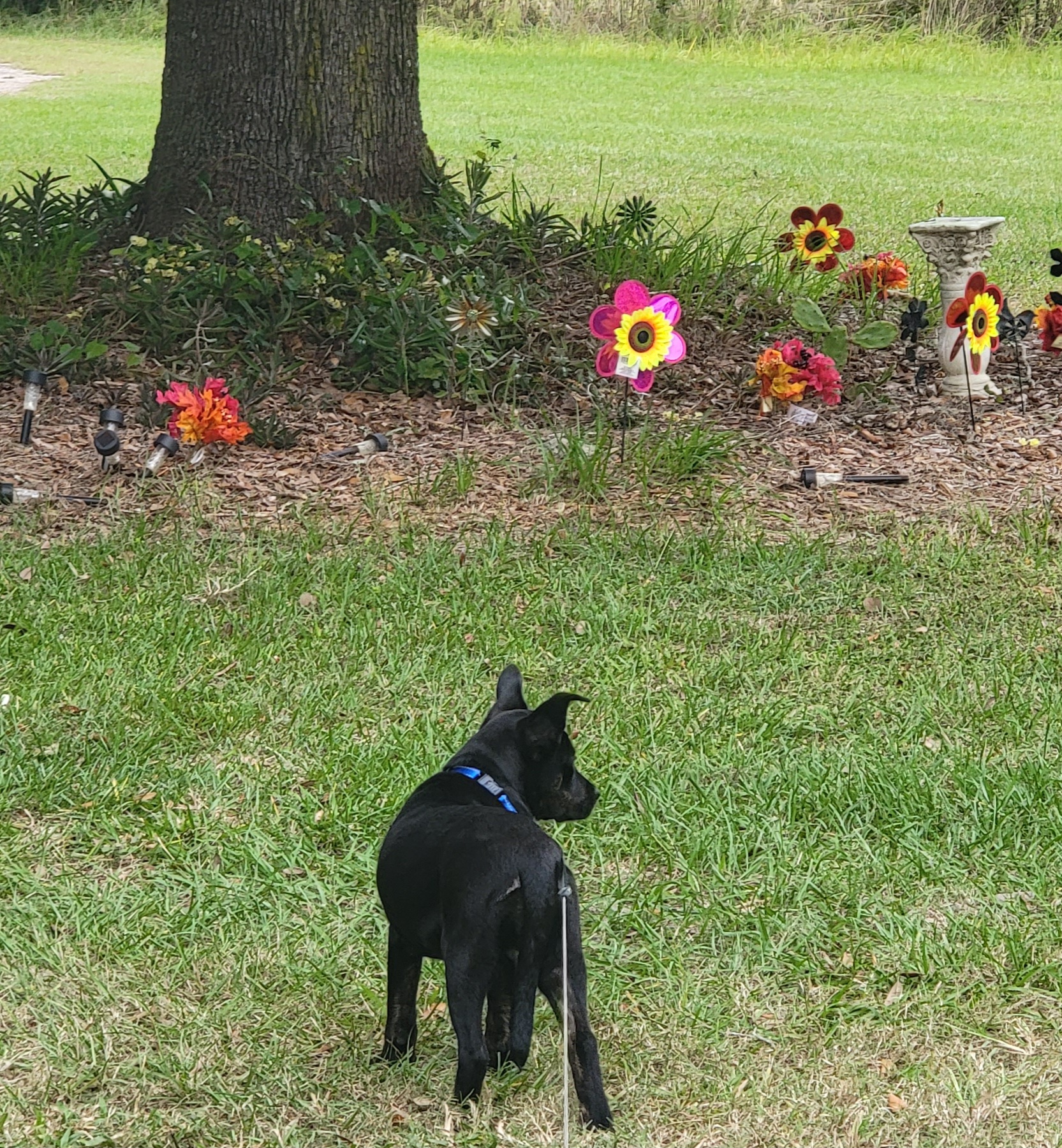 20231011_174440.jpg
