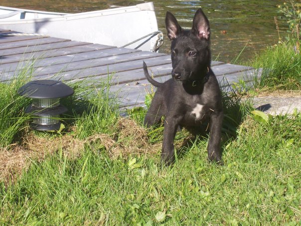 First time near the water