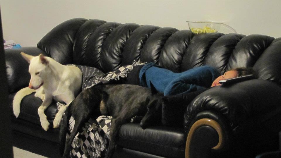 passed out.jpg
