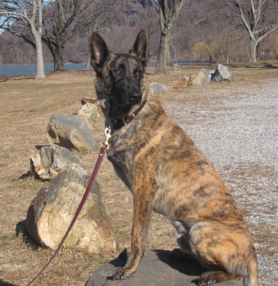 Odin