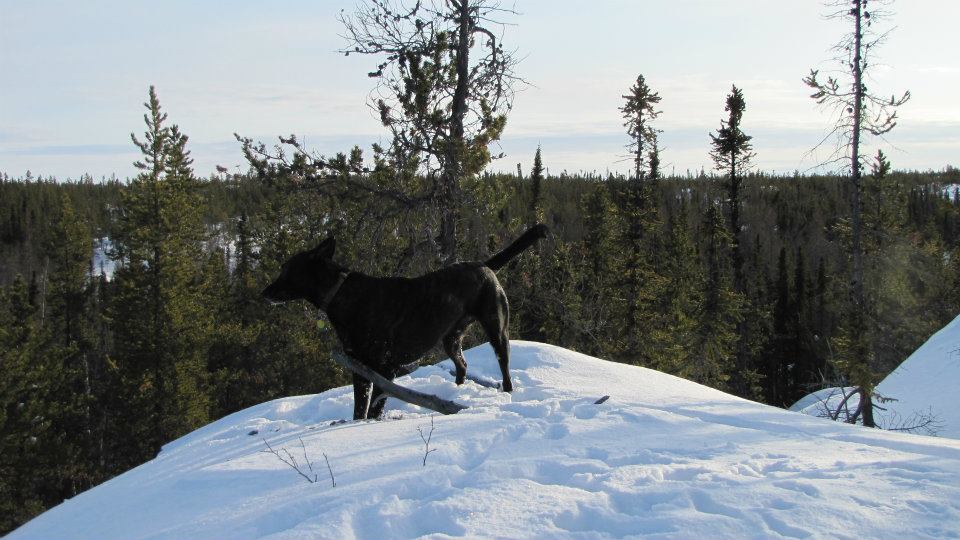 Hike 1.jpg